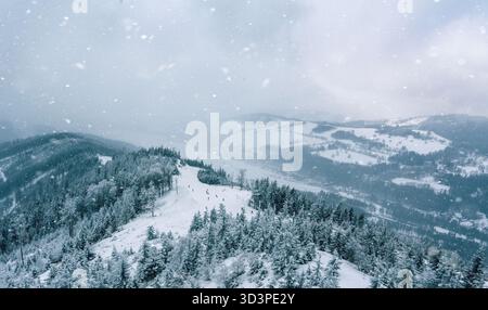 Schneebedeckter Bergwald Bei Starkem Schneefall Stockfoto