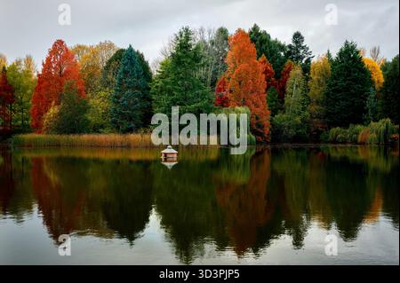 Herbst Landschaft mit See und Bäume Stockfoto