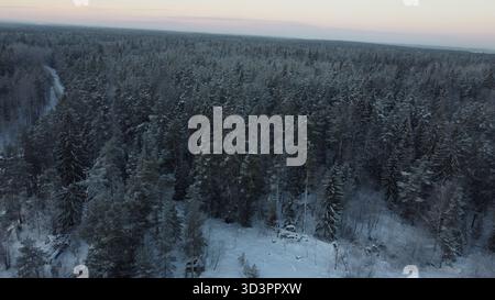Aus der Vogelperspektive des dichten Winterwaldes, der mit Schnee bedeckt ist, im kalten Abendlicht Stockfoto