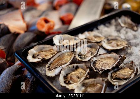 Eine Nahaufnahme frischer Austern, die in einem Fischladen ordentlich auf Eis angeordnet sind und ihre natürliche Textur und ansprechende Präsentation zeigen, bereit für eine culina Stockfoto