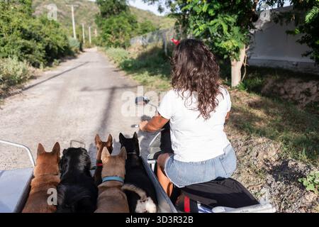 Eine Frau fährt einen Roller mit einem Beiwagen, begleitet von ihren Hunden auf einer Landstraße. Die Szene fängt das Wesen des Abenteuers und der Begleitung in Ever ein Stockfoto