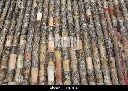 Nahaufnahme von verwitterten Terrakotta-Dachziegeln aus einem rustikalen ländlichen Gebäude mit ihren vielfältigen Farben und Texturen. Diese Kacheln markieren Geschichte A Stockfoto