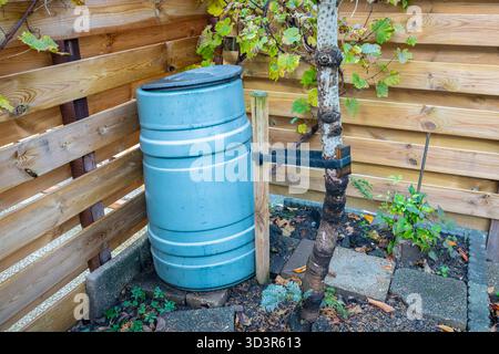Blauer Kompostbehälter in einer kleinen Gartenecke im Garten, umgeben von Holzzäunen und Pflanzen Stockfoto