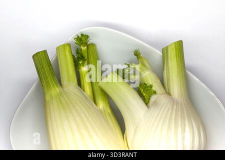 Frischer Fenchel auf einem Teller Stockfoto