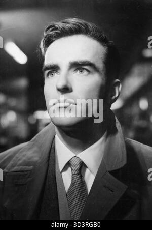 US-amerikanischer Schauspieler Montgomery Clift, USA 1950er Stockfoto