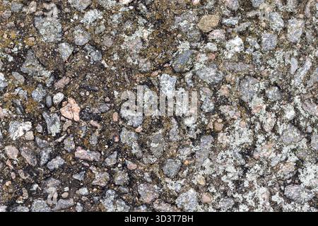 Makroansicht einer verwitterten Wand mit Kiesbetonoberfläche mit gemischten Steinen, Sand und verstreuten Flechten. Ideal für Texturen, Hintergründe, Natur Stockfoto