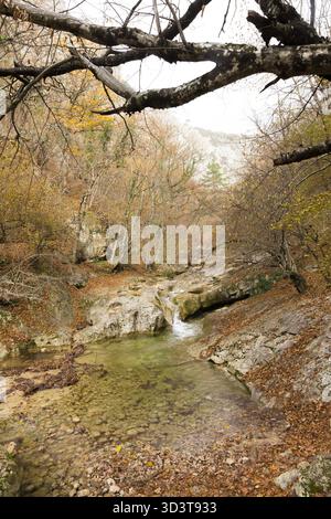 Ein ruhiger Bach fließt durch die felsige Landschaft, umgeben von Herbstbäumen Stockfoto