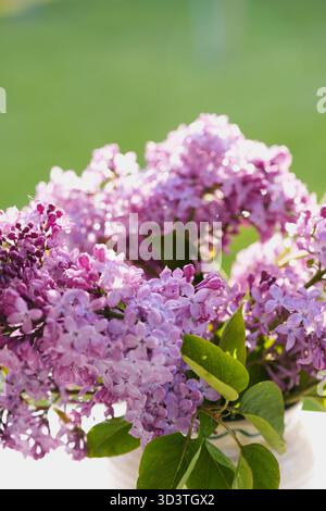 Ein wunderschöner Strauß aus hellvioletten Fliedern in einer weißen Vase, auf einem Tisch in einem grünen Garten. Eine frische und heitere Szene, die die romantische Schönheit einfängt Stockfoto