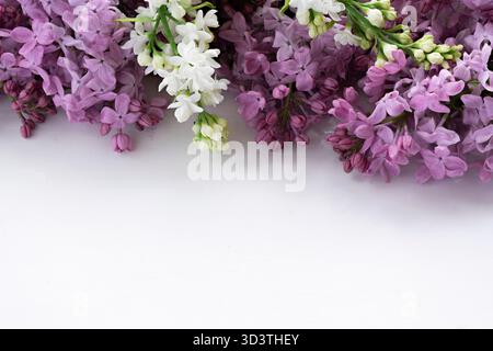 Lilafarbene Blütenzweige auf einem weißen Tisch in einer Reihe angeordnet, leerer Raum vorne, Blumen hinten, aus einem niedrigen Winkel fotografiert, natürliches Licht Stockfoto