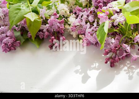 Lilafarbene Blütenzweige auf einem weißen Tisch in einer Reihe angeordnet, leerer Raum vorne, Blumen hinten, aus einem niedrigen Winkel fotografiert, natürliches Licht Stockfoto