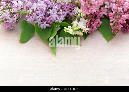 Fliederblüten in verschiedenen Farben auf einem Leinenstoff-Hintergrund mit freiem Platz für Inschriften oder Objekte, aus einem hohen Winkel fotografiert Stockfoto