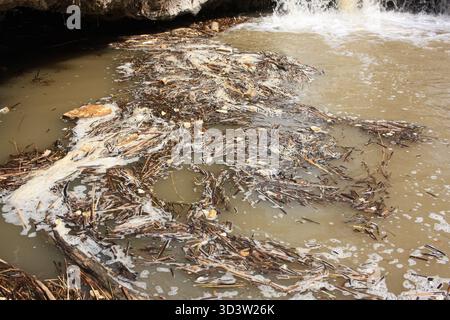 Verschmutztes Wasser im Fluss Stockfoto