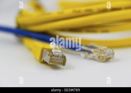 Den Helder, Niederlande. dezember 2024. Nahaufnahme eines gelben ethernet-Kabels auf weißem Hintergrund. Stockfoto