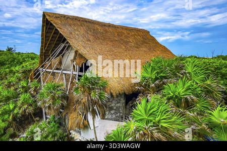 Hölzerne maya-Hütte im grünen tropischen Dschungel in Tulum Quintana Roo Mexiko Stockfoto