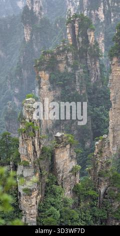 Vertikale Ansicht der steinernen Säulen der Tianzi Berge in Zhangjiajie National Park ist eine berühmte Touristenattraktion, Landschaftspark Wulingyuan gelegen, Provinz Hunan, Stockfoto