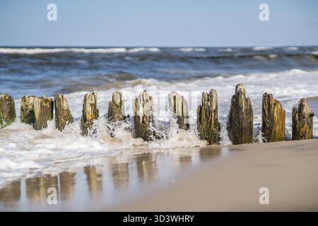 Alte hölzerne wellenbrecher an der Baltischen Küste Strand Stockfoto