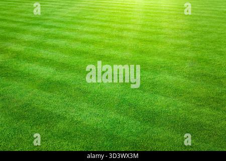 Grashintergrund - sonnige Landschaftsansicht einer großen Fläche von frisch geschnittenem, gesundem, grünem Gras, das in einem Schachbrettmuster gemäht wurde. Stockfoto