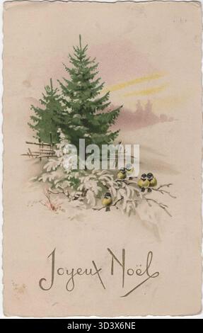 Diese „Joyeux Noël“-Karte aus dem Jahr 1923, eine französische Vintage-Postkarte aus dem Zeitraum 1920 bis 1930, spiegelt mit ihrem charakteristischen Design und den saisonalen Bildern den festlichen Geist des frühen 20. Jahrhunderts wider. Stockfoto