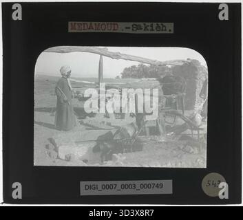 Ein Junge bedient ein persisches Rad, ein traditioneller Wasserhebemechanismus, in Medamud. Dieses Glasdiapositiv aus der Zeit um 1924-1932 erfasst eine für die Region typische landwirtschaftliche Tätigkeit. Stockfoto