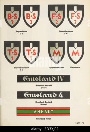 Dieses Bild aus dem Organisationsbuch der NSDAP von 1936 zeigt die Uniform und die Abzeichen des Reichsarbeitsdienstes (Rad). Die Rad war eine nationalsozialistische Organisation, die sich in den 1930er Jahren auf Zwangsarbeitsdienste für junge Männer in Deutschland konzentrierte, mit Schwerpunkt auf Militärausbildung und Unterstützung während des Zweiten Weltkriegs Stockfoto