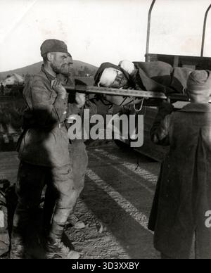 SFA022803821 1941 Niederlande: Bolschewistische Verwundete wurden 1941 in Spezialfahrzeugen hinter den Frontlinien während der Operation Barbarossa transportiert. Standort unbekannt. Stockfoto