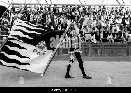 Ein junger Mann aus der Lupa Contrada zeigt seine Fahnenwinkelfähigkeiten auf der Piazza del Campo während der historischen Prozession, dem Palio in Siena, Italien. Stockfoto
