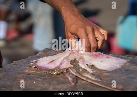 Fischer filetieren Schlittschuh mit Messer, Essaouira, Marokko. Der Fischmarkt. Fischer verkaufen ihren Fang an den Kais. Eine beliebte Touristenattraktion. Stockfoto