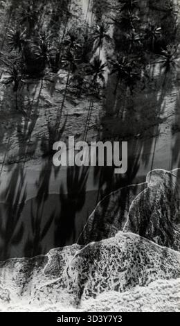 1936 wurde der Luftverkehr Friedrichtshafen – Brasilien/Argentinien mit dem Graf Zeppelin eingeweiht. Das Luftschiff reiste über Frankreich, die Kanarischen Inseln, Kap Verde und Brasilien. Dieses Foto zeigt den Grafen Zeppelin, der in niedriger Höhe fliegt, mit Blick auf einen brasilianischen Palmenwald bei Sonnenuntergang, der lange Schatten erzeugt. Stockfoto