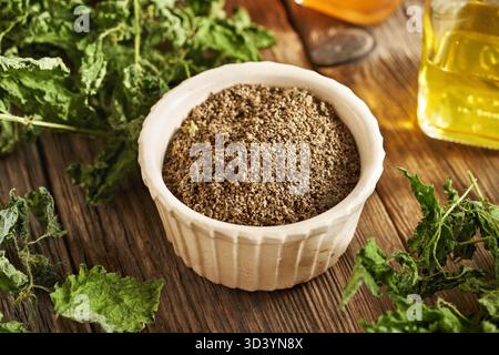 Getrocknete Brennnesselsamen in einer Schüssel mit Urtica dioica Blättern Stockfoto