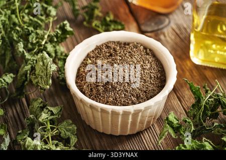 Getrocknete Brennnesselsamen und Blätter auf einem Holztisch Stockfoto