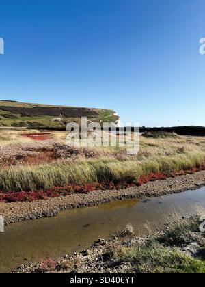 Eine weite Küstenlandschaft mit Klippen, Gras und einem ruhigen Bach unter einem hellblauen Himmel. Stockfoto