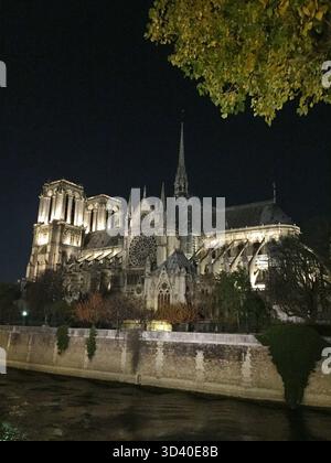 Paris, Frankreich - 14. November 2018: Die Kathedrale Notre Dame, die vor dem Brand von 2019 aufgenommen wurde, steht majestätisch in der Nacht und hebt den gotischen Bogen hervor Stockfoto