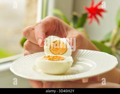 Die Hand hält ein in Scheiben geschnittenes hartgekochtes Ei auf einer weißen Platte, wobei das Eigelb durch ein helles Fenster freigelegt wird Stockfoto