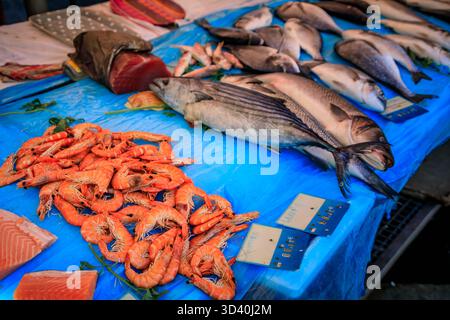 Frisch gefangener Fisch, Lachs, Makrele, Thunfisch und Garnelen auf dem provenzalischen Bauernmarkt von Cours Saleya in der Altstadt von Nizza, Südfrankreich Stockfoto
