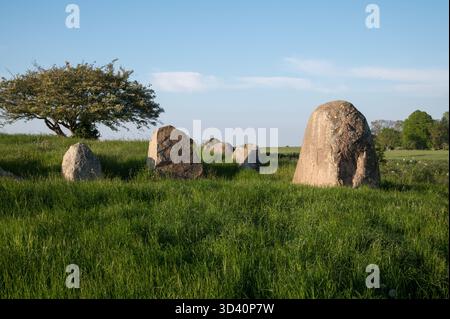 Rund 5000 Jahre alte Großsteingräber große Dolmen in der Nähe von Nobbin im Norden der Insel Rügen in der Ostsee, im Nordosten Deutschlands. Stockfoto