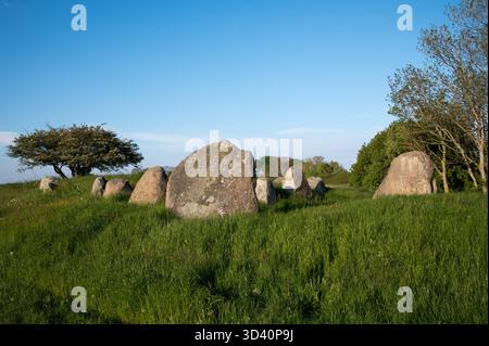 Rund 5000 Jahre alte Großsteingräber große Dolmen in der Nähe von Nobbin im Norden der Insel Rügen in der Ostsee, im Nordosten Deutschlands. Stockfoto