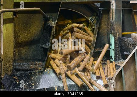 Trommelentrindung in Aktion mit Holzstämmen, die für die Effizienz der Holzindustrie verarbeitet werden Stockfoto