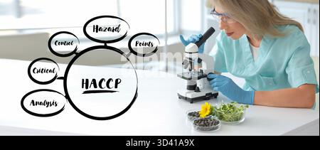 Wissenschaftlerin mit Mikroskop zur Untersuchung von Sonnenblumensamen und Sprossen im Labor. HACCP-Konzept Stockfoto