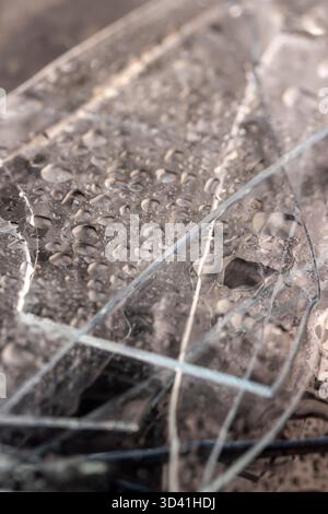 Zerbrochenes, nasses altes Glas liegt auf einem schwarzen Schieferbrett mit unebener Textur, Glasscherben mit Wasser bedeckt Stockfoto