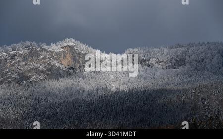 Schneebedeckter Alpenkamm unter dunklen Winterwolken in den Salzkammergut Alpen, zwischen Traunsee und Hallstätter See. Stockfoto