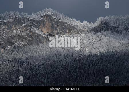 Schneebedeckter Alpenkamm unter dunklen Winterwolken in den Salzkammergut Alpen, zwischen Traunsee und Hallstätter See. Stockfoto