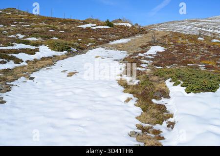 Hochgebirgslandschaft mit Schneestücken und Vegetation unter einem klaren blauen Himmel. Lachtal, Österreich Stockfoto