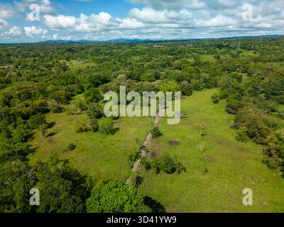 Luftaufnahme einer Rinderfarm auf einer nachhaltigen Bergfarm in Panama, Zentralamerika – Stockfoto Stockfoto