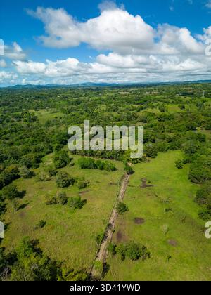 Luftaufnahme einer Rinderfarm auf einer nachhaltigen Bergfarm in Panama, Zentralamerika – Stockfoto Stockfoto