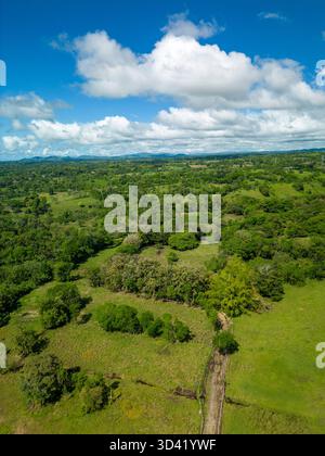 Luftaufnahme einer Rinderfarm auf einer nachhaltigen Bergfarm in Panama, Zentralamerika – Stockfoto Stockfoto