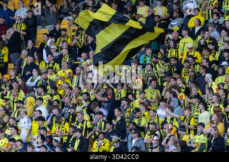 Wellington, Neuseeland. November 2025. Wellingtons Gelbfieber-Unterstützer feiern den Equalizer ihres Teams. Wellington Phoenix gegen Auckland FC. Isuzu Ute A-League Runde 4. Sky Stadium. Wellington. Neuseeland. Auckland FC gewinnt. Vollzeit 2-1 (HT 2-1). (Joe Serci/SPP) Credit: SPP Sport Press Photo. /Alamy Live News Stockfoto