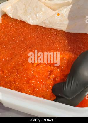 Eier mit einem Handschuher mischen. Roter Kaviar in einem Plastikbehälter. Lachskaviar, Diätkost. Stockfoto