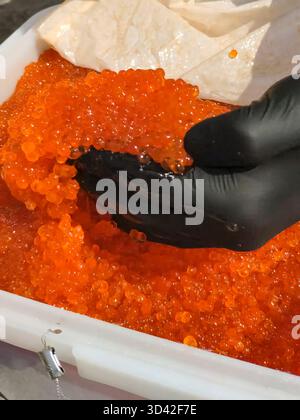 Eier mit einem Handschuher mischen. Roter Kaviar in einem Plastikbehälter. Lachskaviar, Diätkost. Stockfoto