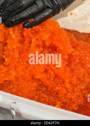 Eier mit einem Handschuher mischen. Roter Kaviar in einem Plastikbehälter. Lachskaviar, Diätkost. Stockfoto