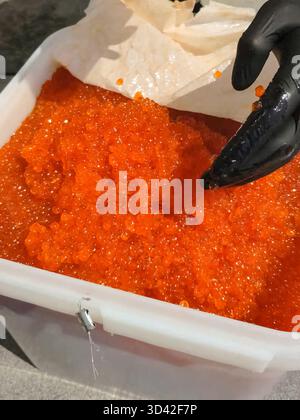 Eier mit einem Handschuher mischen. Roter Kaviar in einem Plastikbehälter. Lachskaviar, Diätkost. Stockfoto